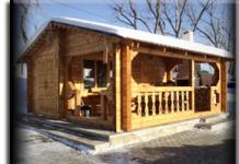 Sa fitimprurëse është të kombinosh një sauna dhe një kuzhinë verore nën një çati?