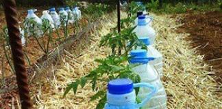 私たちは自分たちの手で即席の手段から点滴灌漑を作ります 庭で簡単な点滴灌漑を作る方法