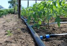 Wie macht man mit eigenen Händen Tropfbewässerung auf dem Land?