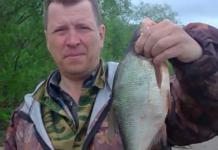 ロシア北部でのエキサイティングな釣り コトラスでの釣り